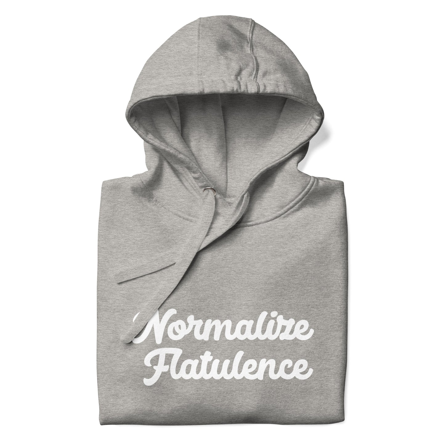 Normalize Flatulence Hoodie