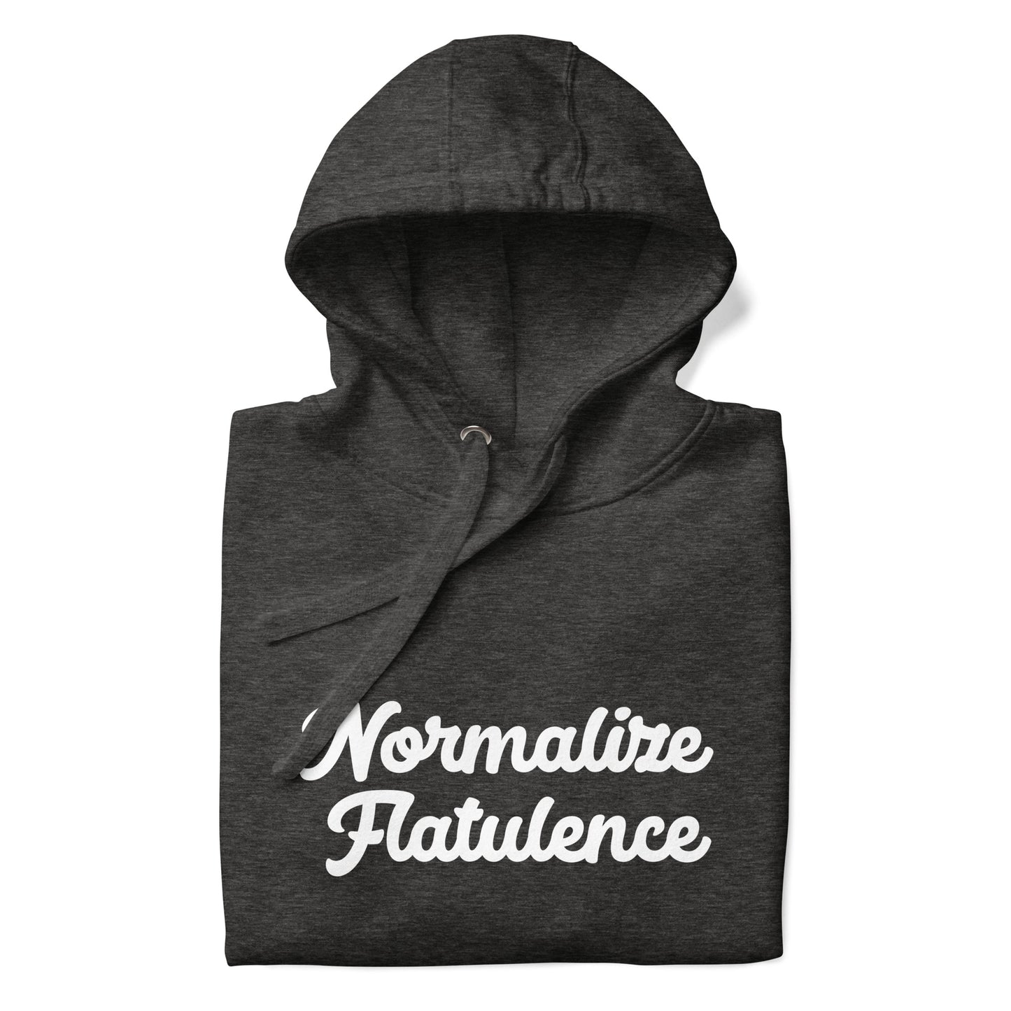 Normalize Flatulence Hoodie