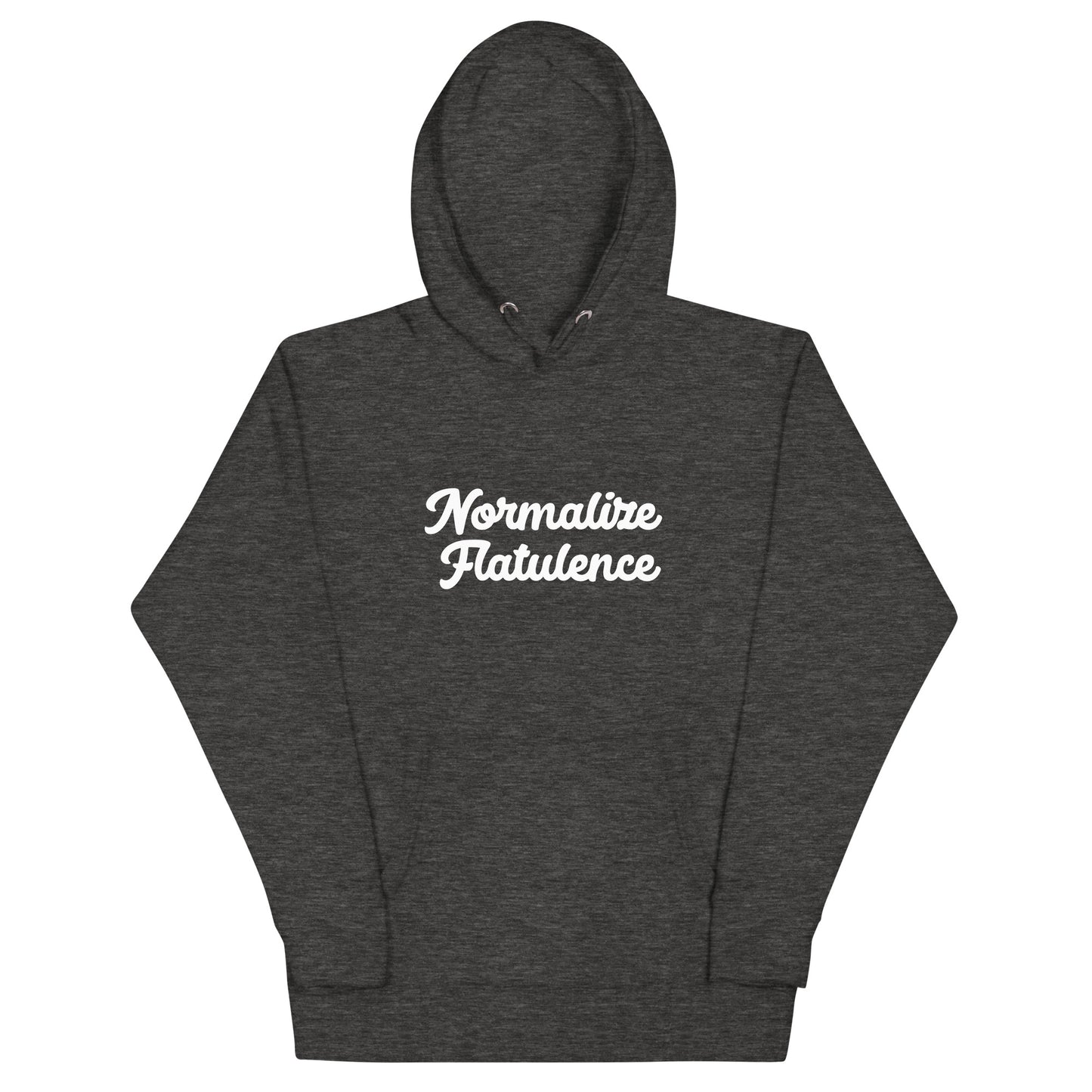 Normalize Flatulence Hoodie