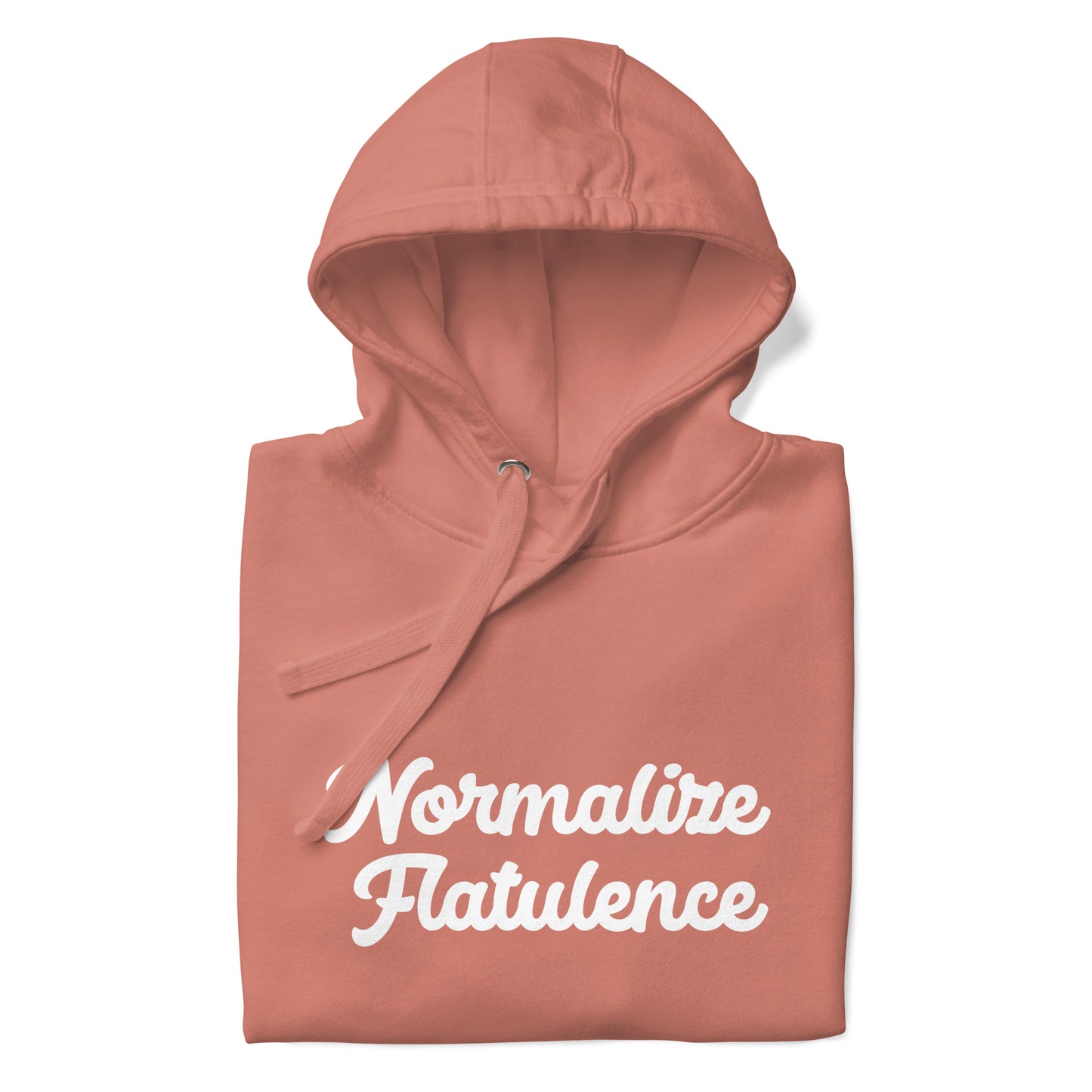 Normalize Flatulence Hoodie