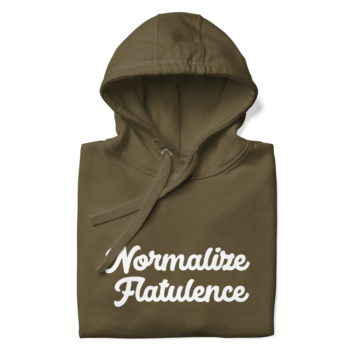 Normalize Flatulence Hoodie