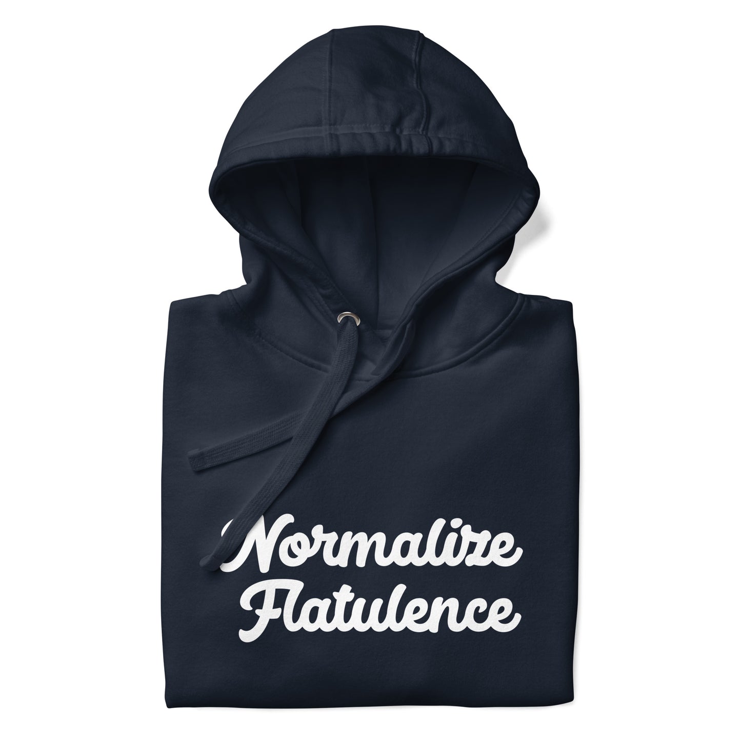 Normalize Flatulence Hoodie